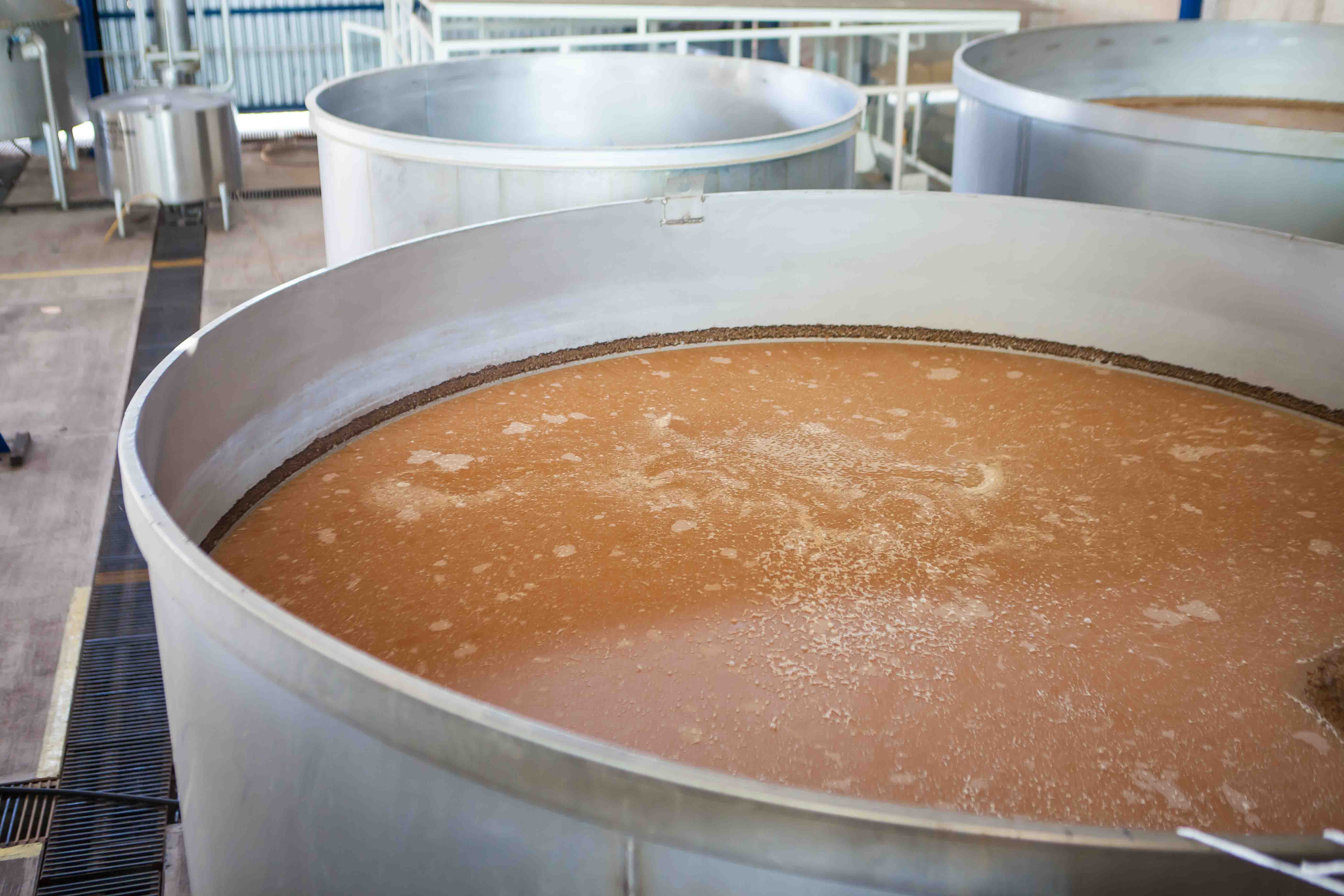 Fermentación